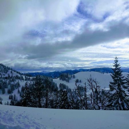 Pension Edelweiss Top 25 Gosau Kültér fotó
