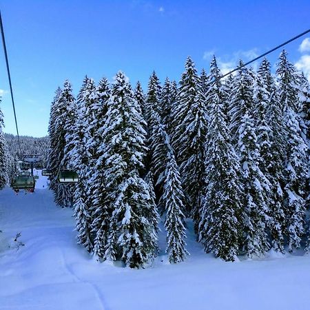 Pension Edelweiss Top 25 Gosau Kültér fotó