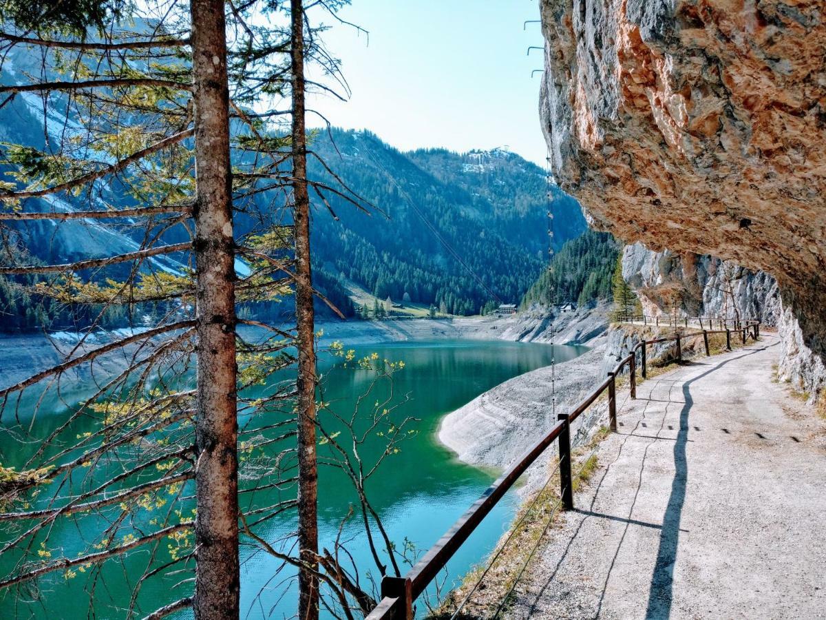 Pension Edelweiss Top 25 Gosau Kültér fotó