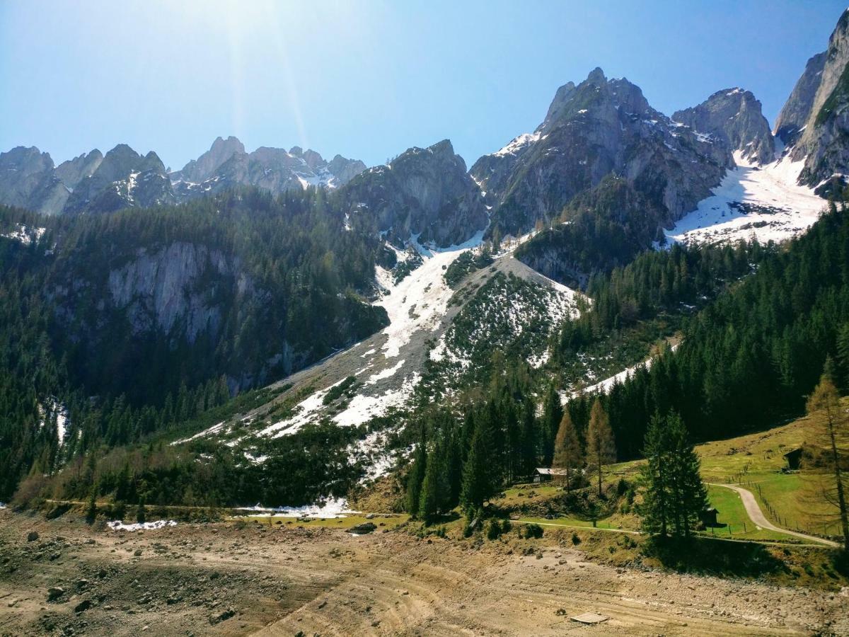 Pension Edelweiss Top 25 Gosau Kültér fotó