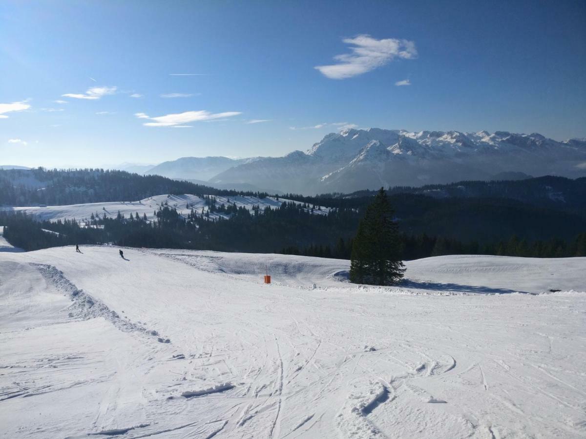 Pension Edelweiss Top 25 Gosau Kültér fotó