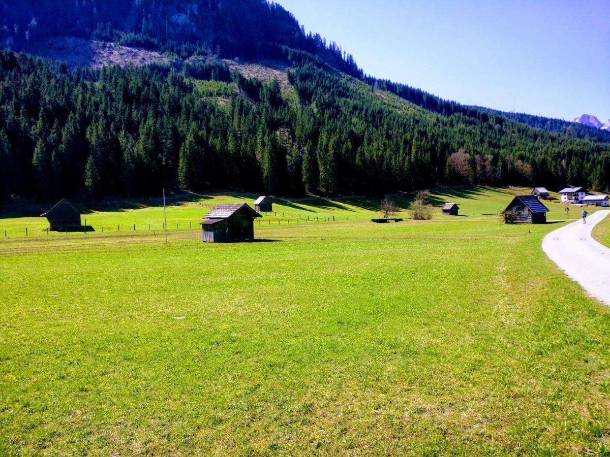 Pension Edelweiss Top 25 Gosau Kültér fotó