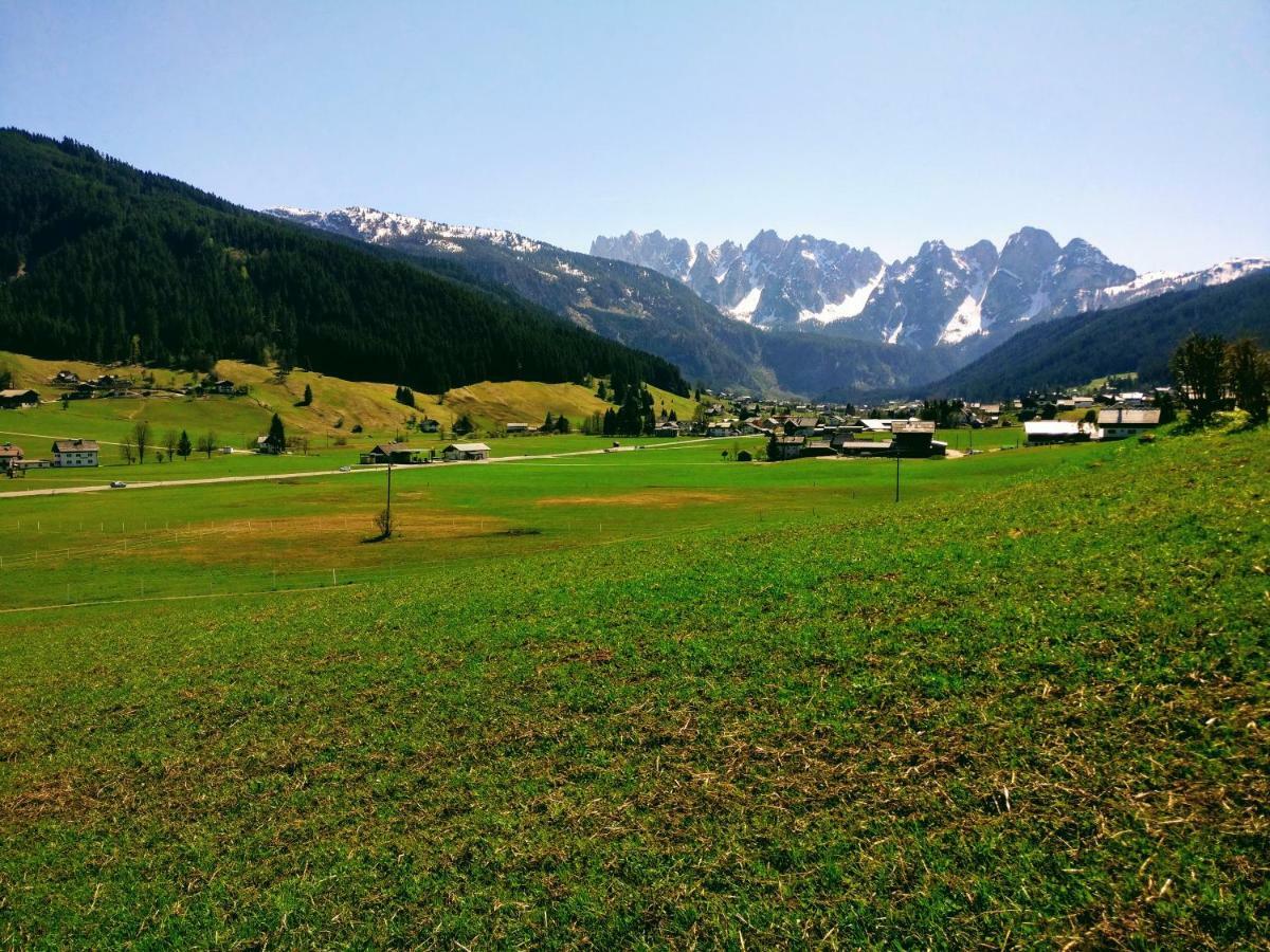 Pension Edelweiss Top 25 Gosau Kültér fotó