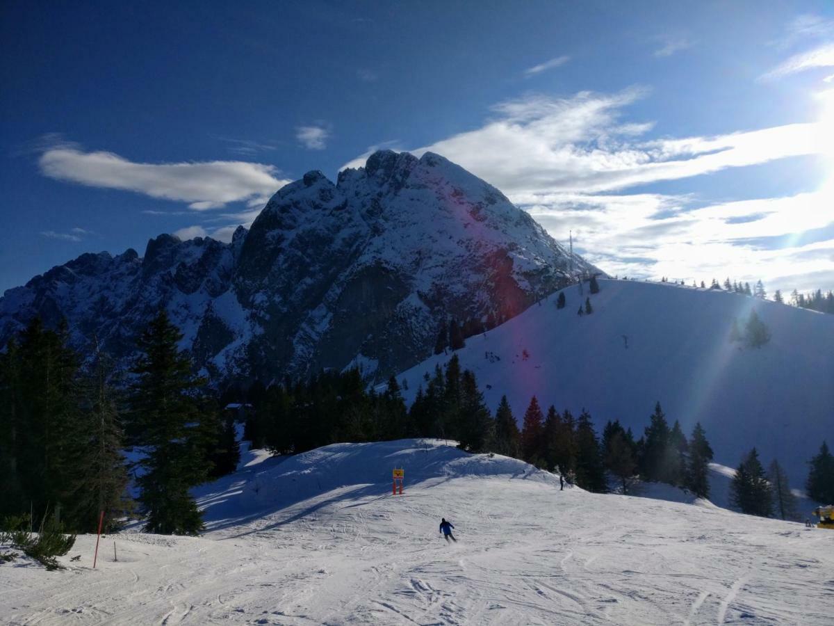Pension Edelweiss Top 25 Gosau Kültér fotó