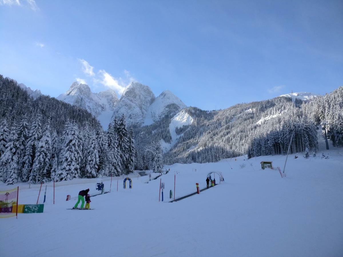 Pension Edelweiss Top 25 Gosau Kültér fotó
