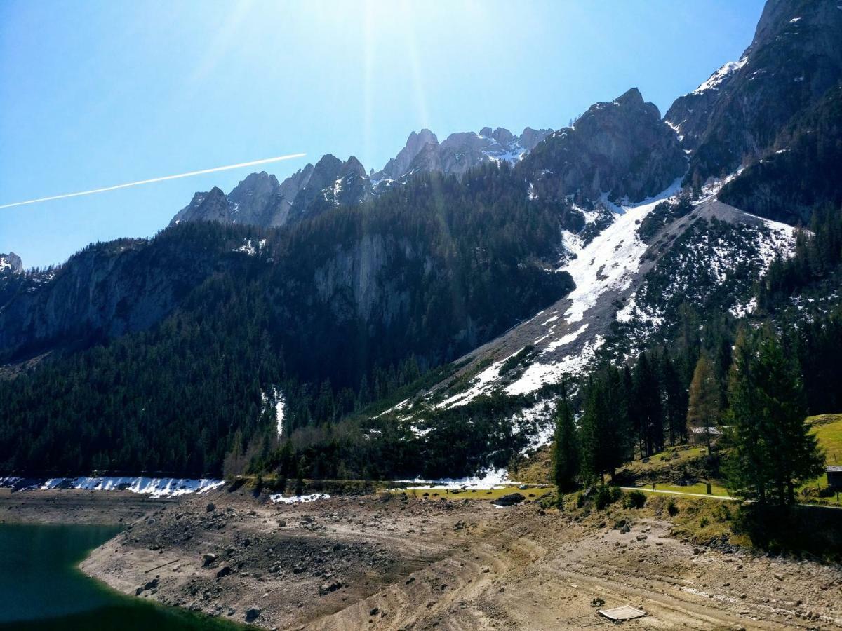 Pension Edelweiss Top 25 Gosau Kültér fotó