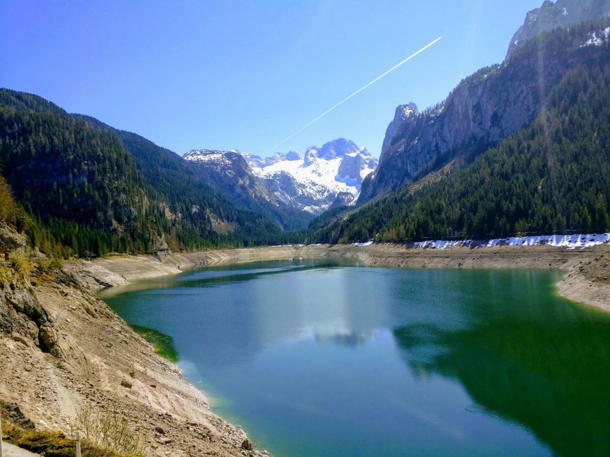 Pension Edelweiss Top 25 Gosau Kültér fotó