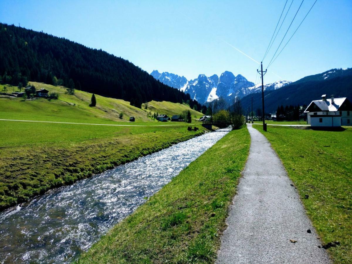 Pension Edelweiss Top 25 Gosau Kültér fotó