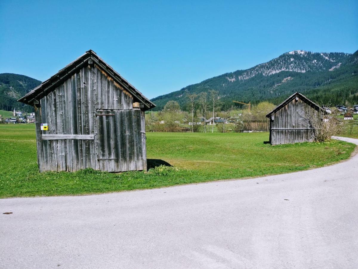 Pension Edelweiss Top 25 Gosau Kültér fotó