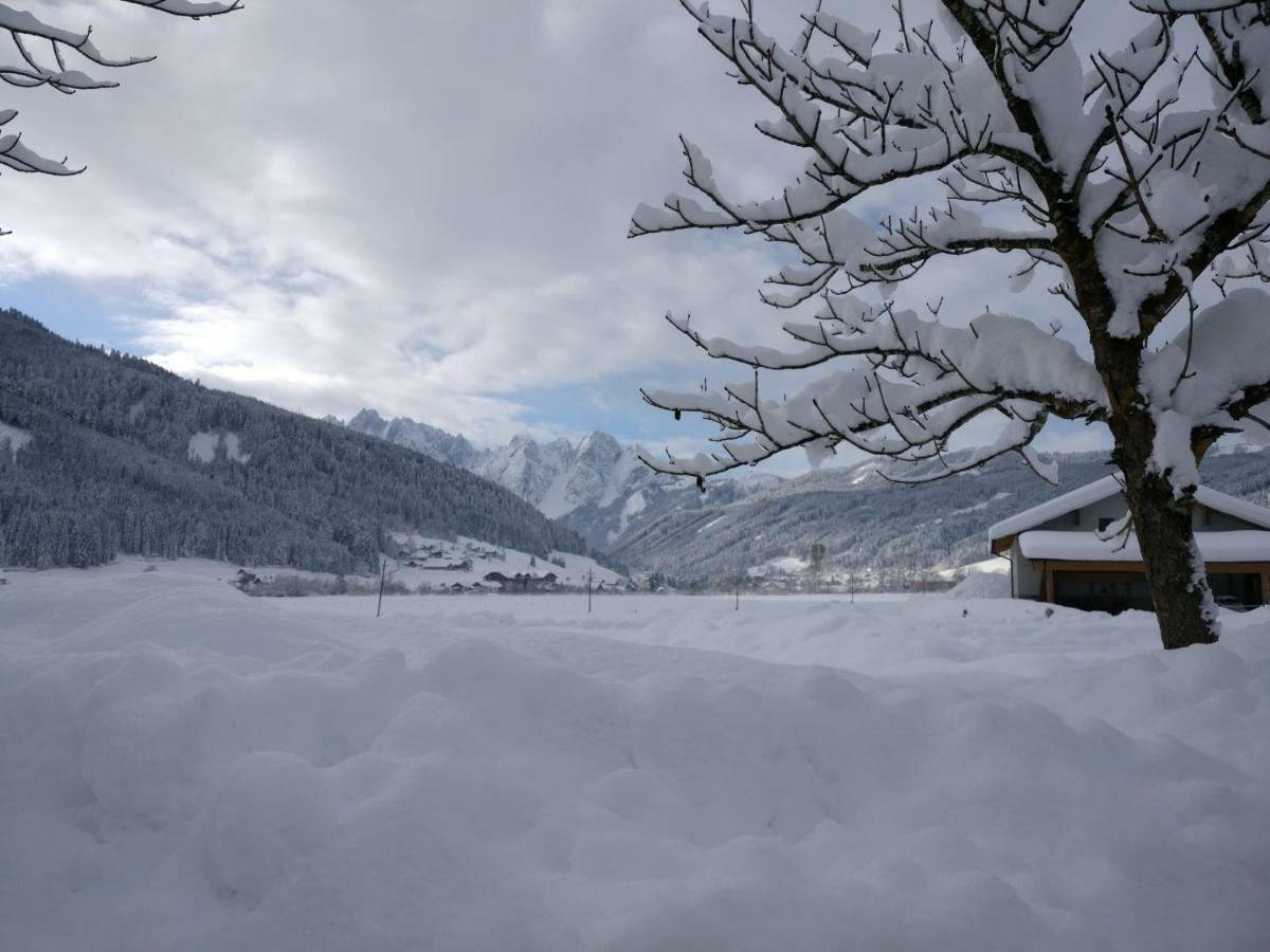 Pension Edelweiss Top 25 Gosau Kültér fotó