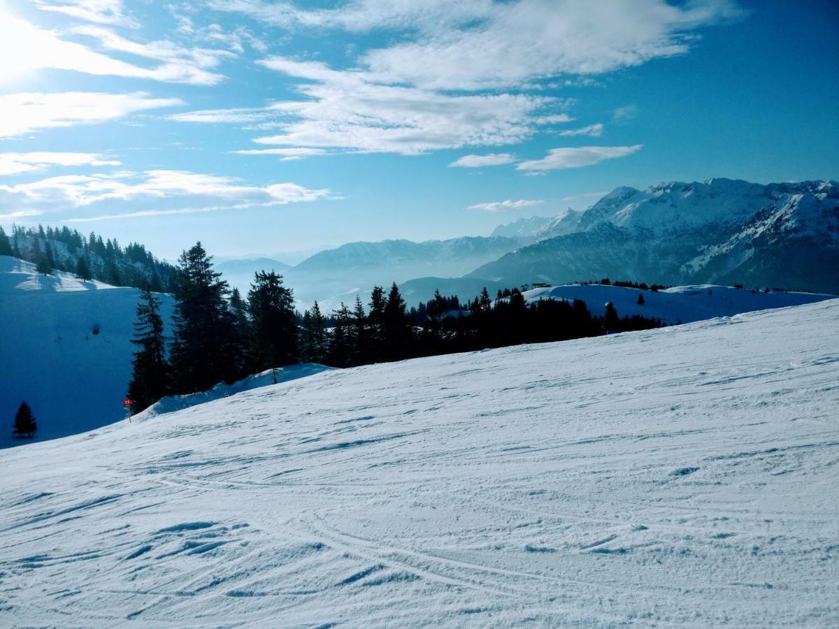 Pension Edelweiss Top 25 Gosau Kültér fotó