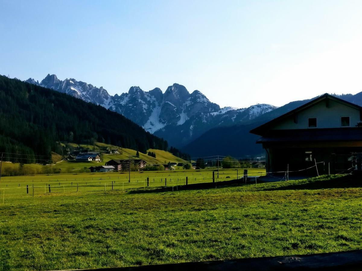 Pension Edelweiss Top 25 Gosau Kültér fotó
