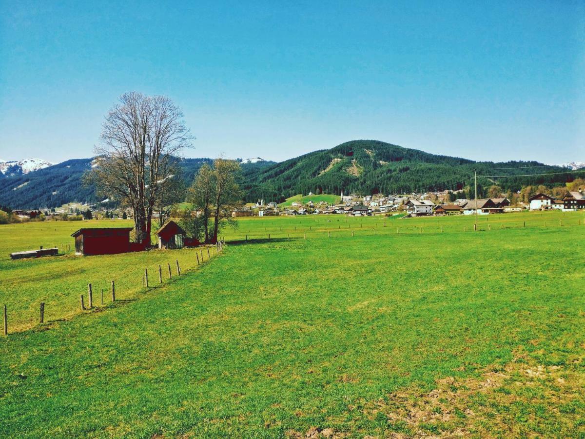 Pension Edelweiss Top 25 Gosau Kültér fotó