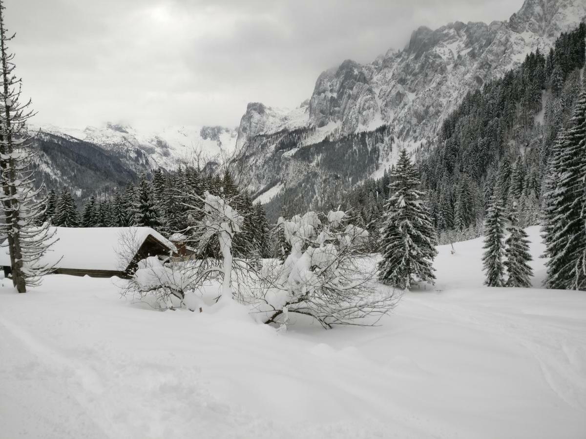Pension Edelweiss Top 25 Gosau Kültér fotó