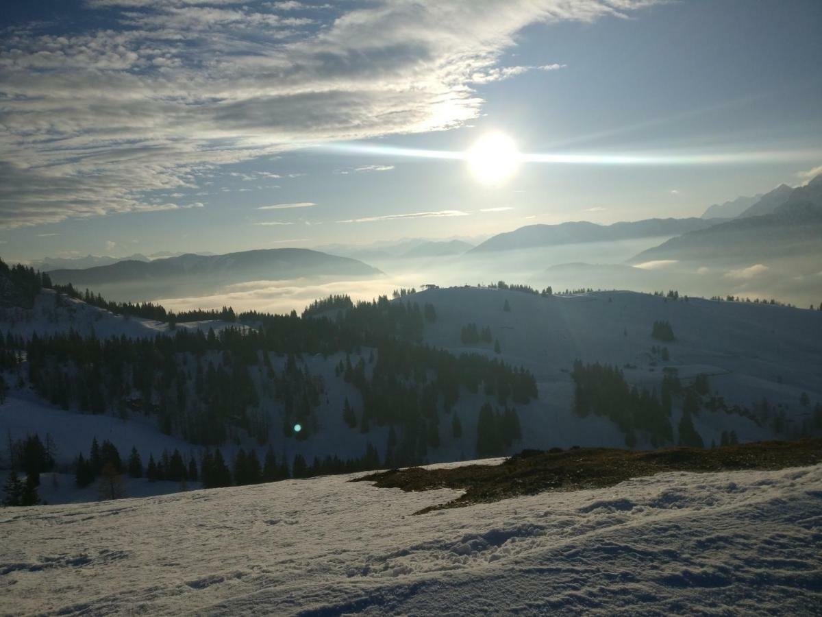 Pension Edelweiss Top 25 Gosau Kültér fotó