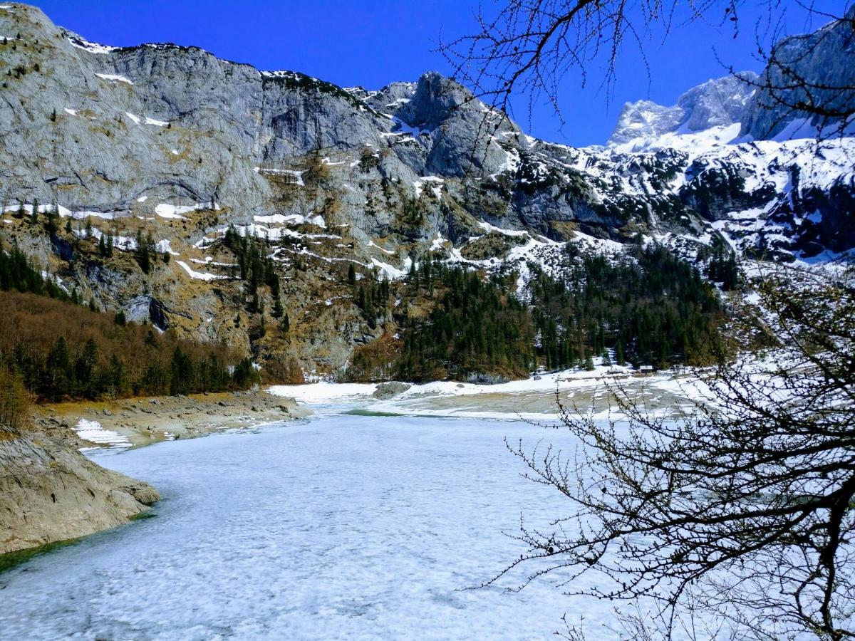 Pension Edelweiss Top 25 Gosau Kültér fotó