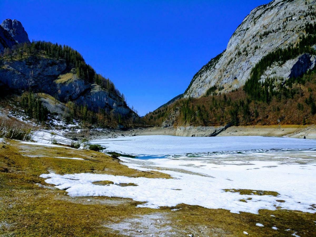 Pension Edelweiss Top 25 Gosau Kültér fotó