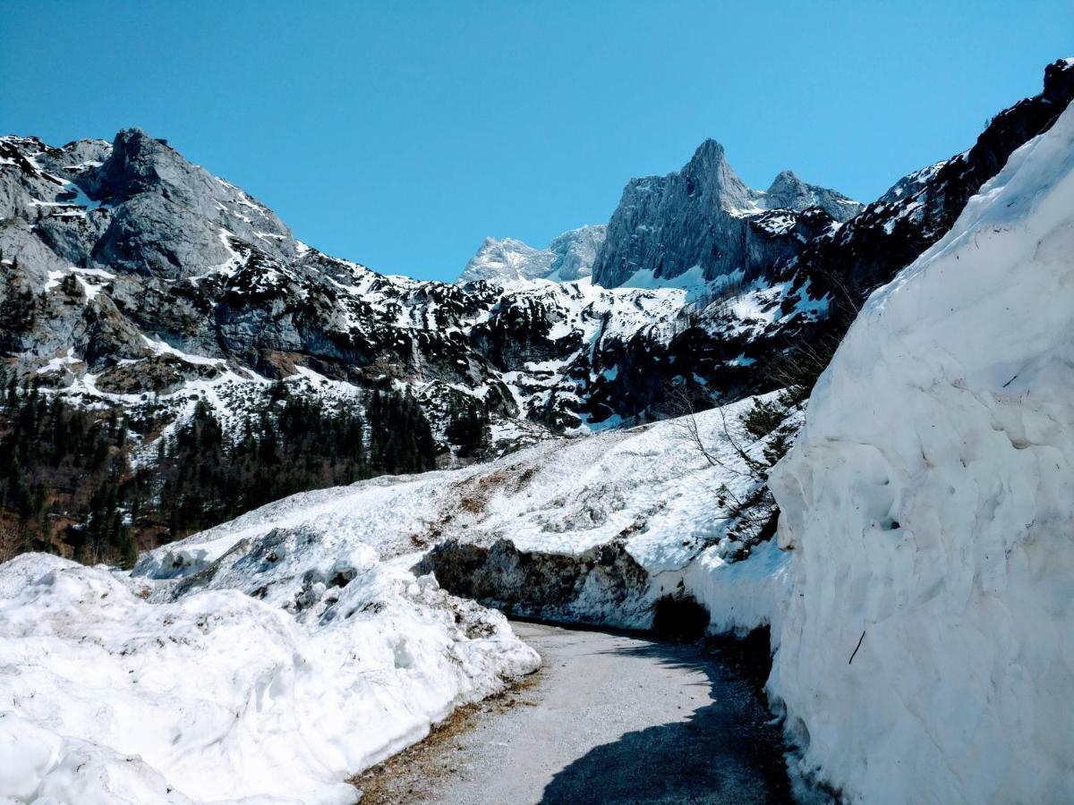 Pension Edelweiss Top 25 Gosau Kültér fotó