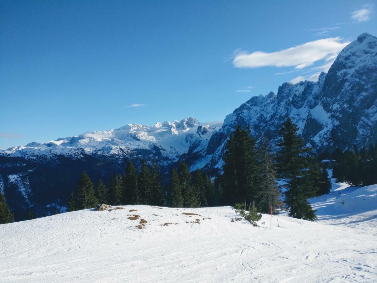 Pension Edelweiss Top 25 Gosau Kültér fotó