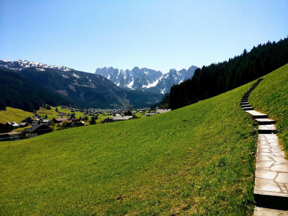 Pension Edelweiss Top 25 Gosau Kültér fotó