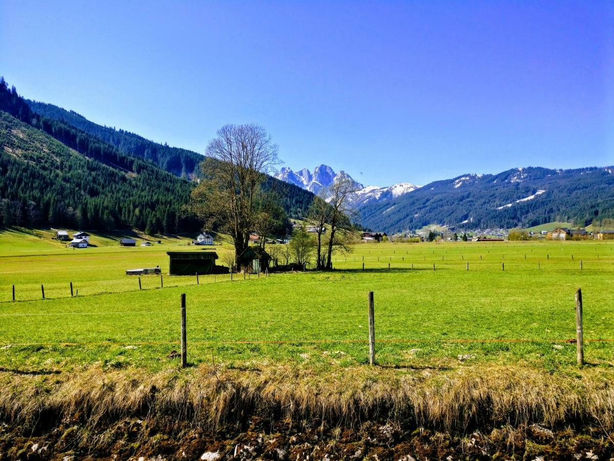 Pension Edelweiss Top 25 Gosau Kültér fotó