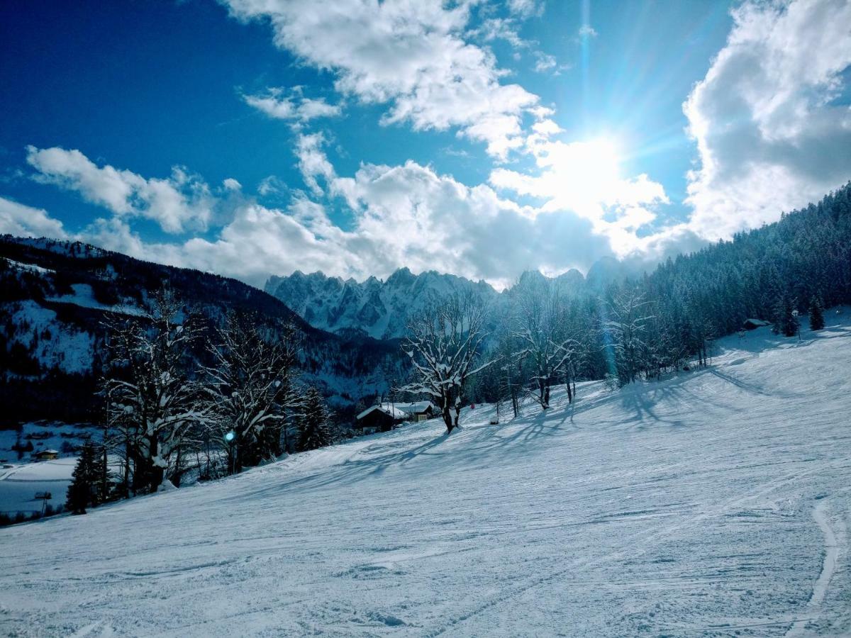 Pension Edelweiss Top 25 Gosau Kültér fotó