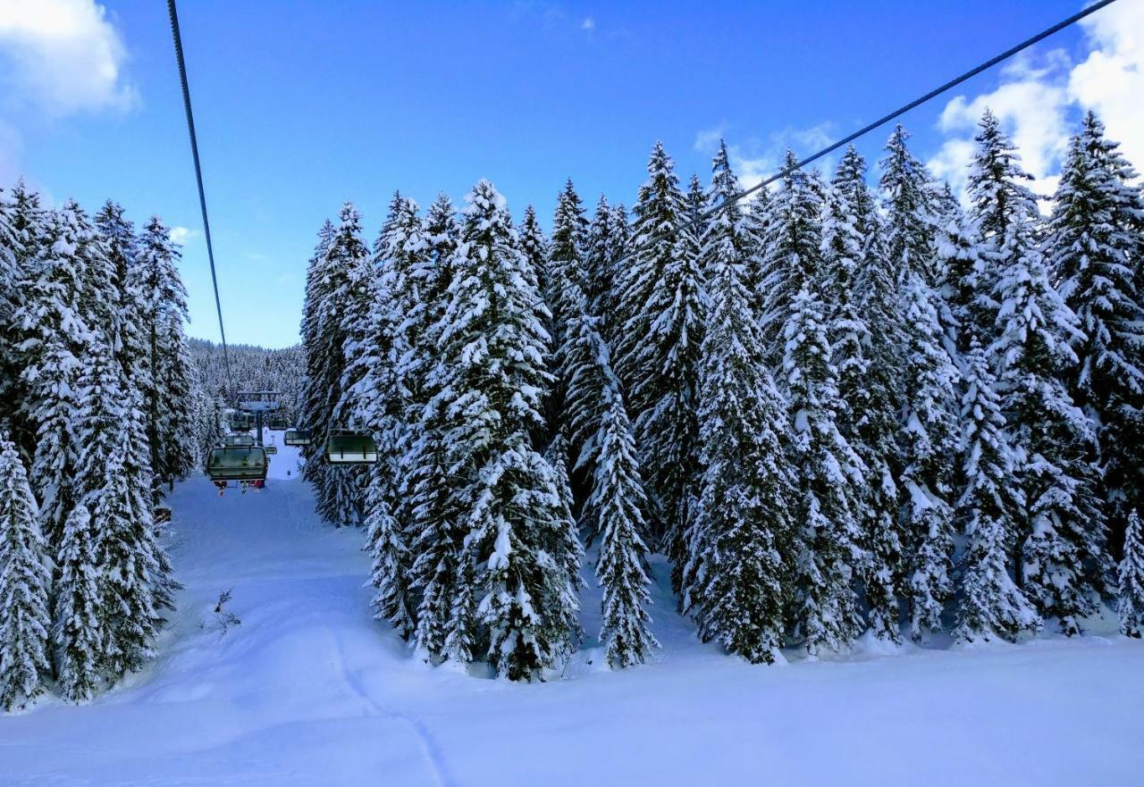 Pension Edelweiss Top 25 Gosau Kültér fotó
