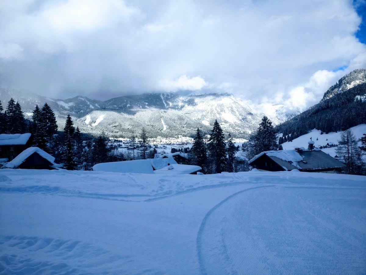 Pension Edelweiss Top 25 Gosau Kültér fotó
