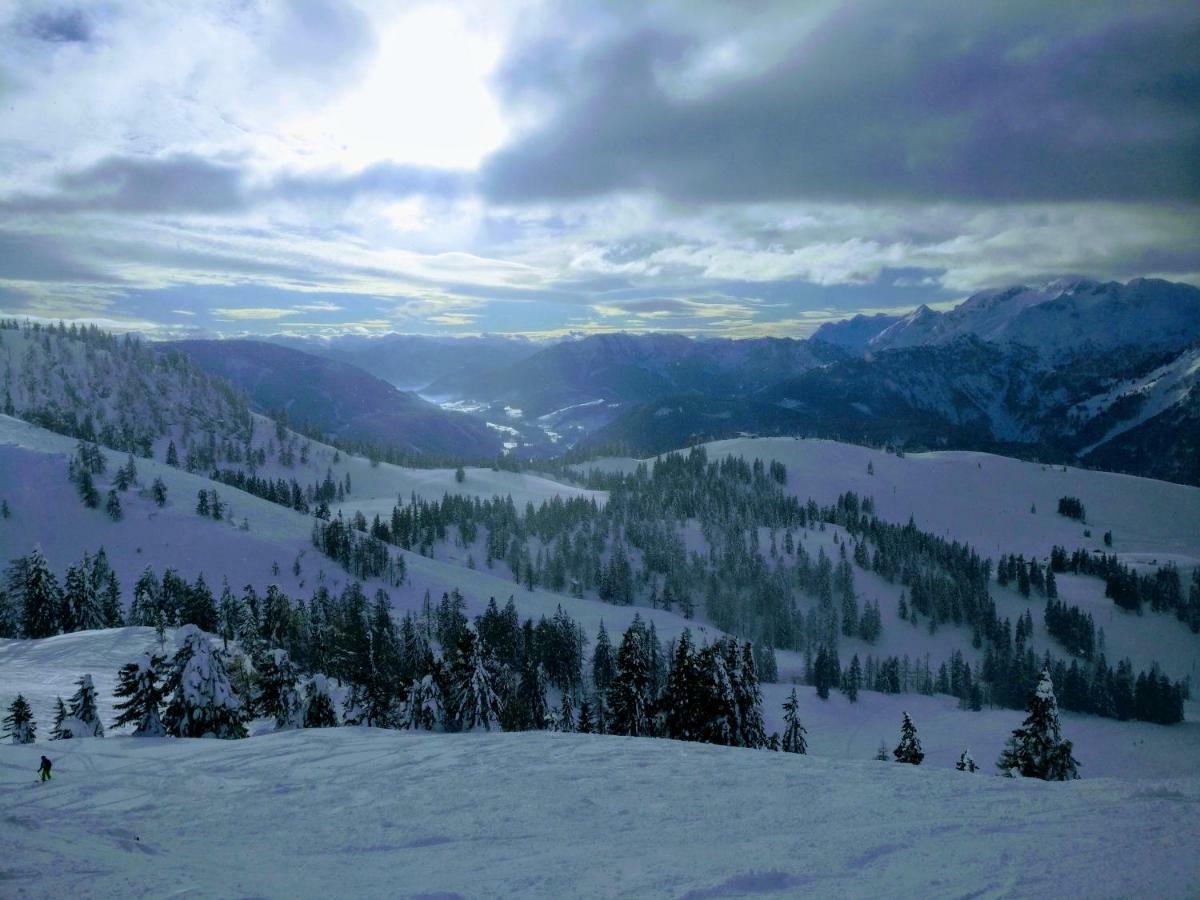Pension Edelweiss Top 25 Gosau Kültér fotó