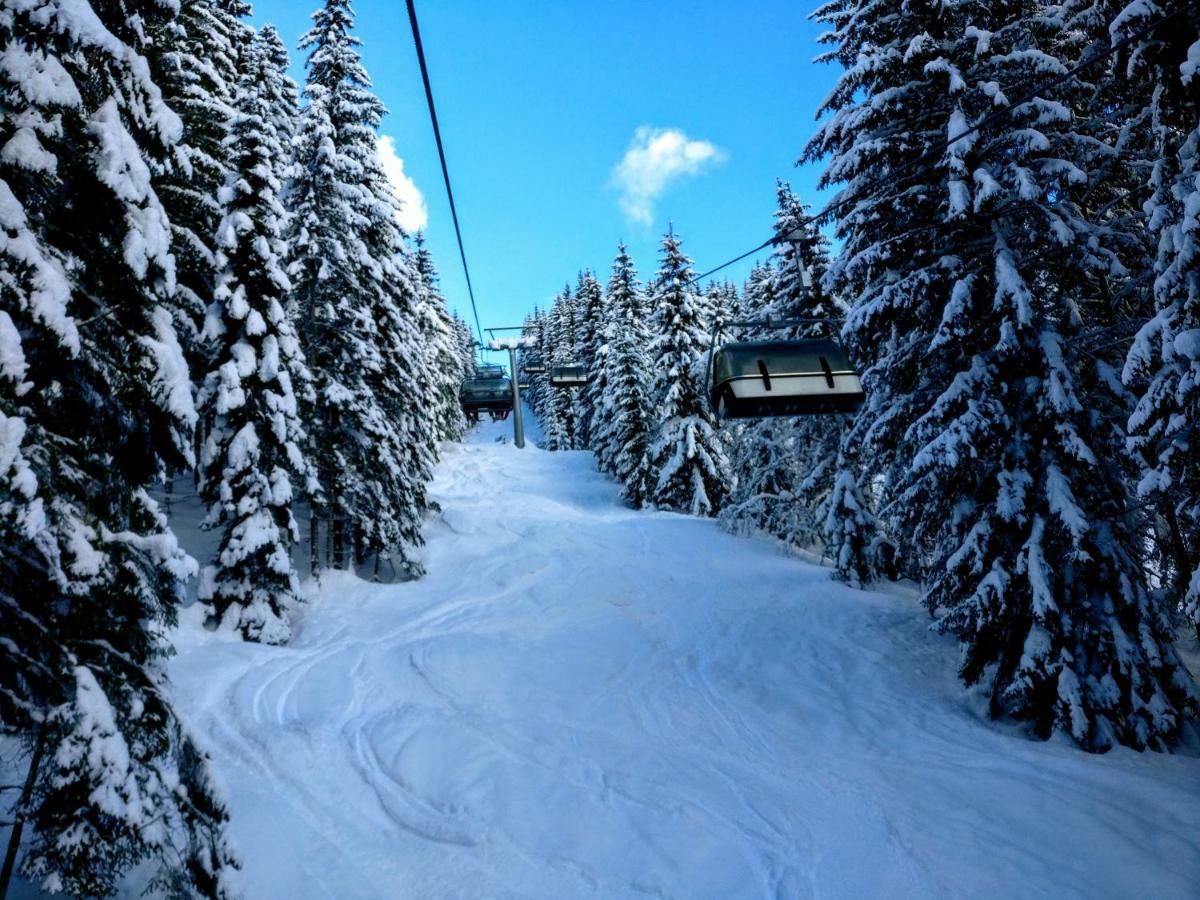 Pension Edelweiss Top 25 Gosau Kültér fotó