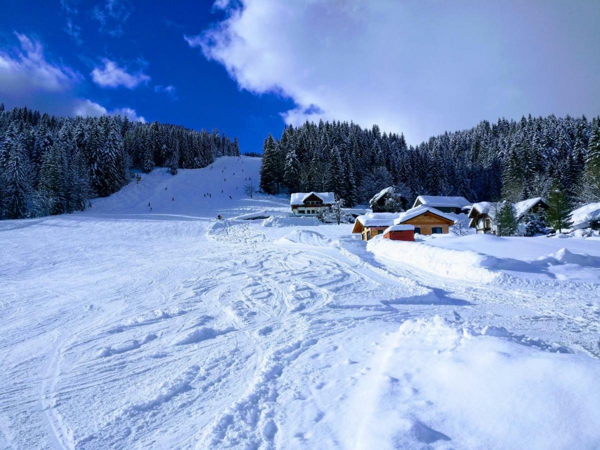 Pension Edelweiss Top 25 Gosau Kültér fotó