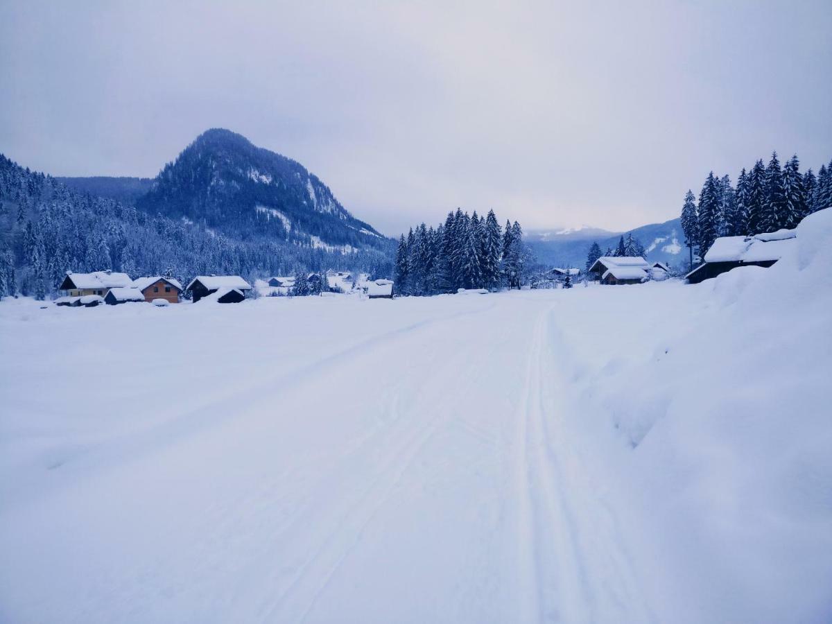 Pension Edelweiss Top 25 Gosau Kültér fotó