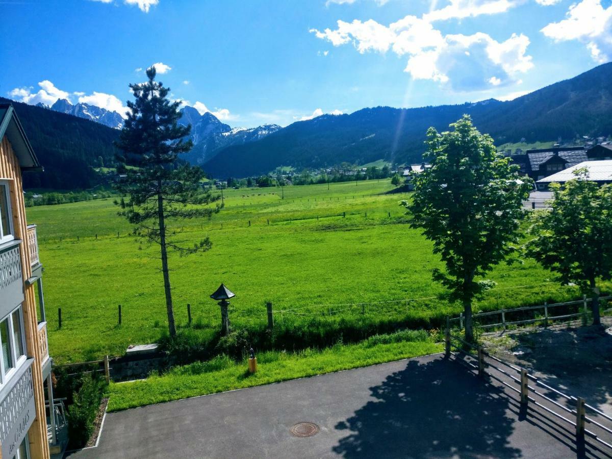 Pension Edelweiss Top 25 Gosau Kültér fotó