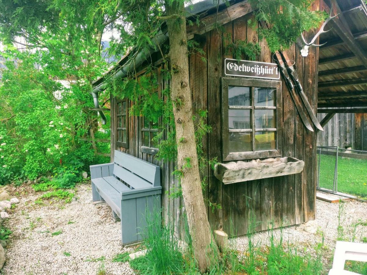 Pension Edelweiss Top 25 Gosau Kültér fotó