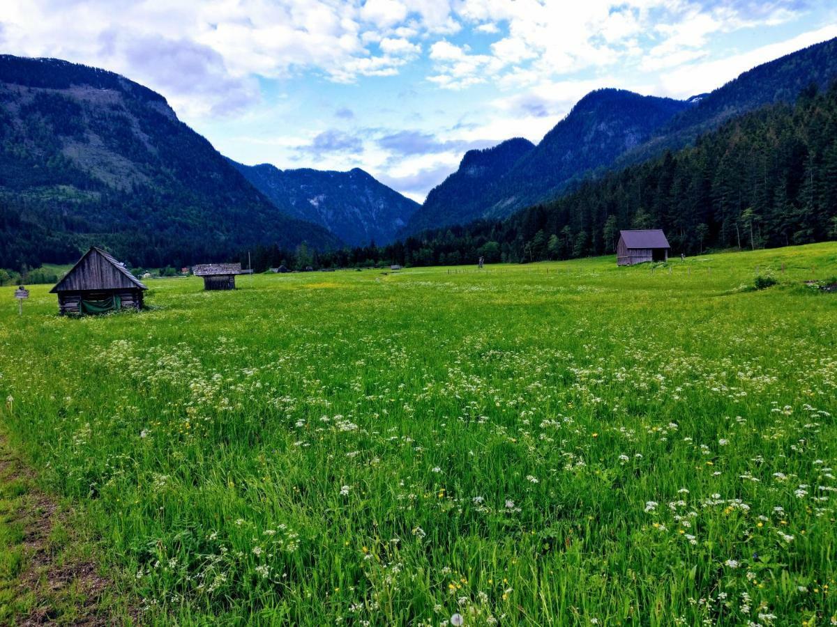 Pension Edelweiss Top 25 Gosau Kültér fotó